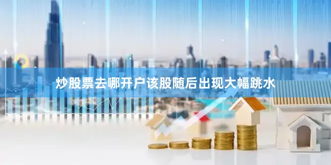 炒股票去哪开户该股随后出现大幅跳水
