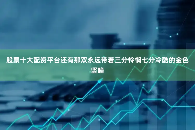 股票十大配资平台还有那双永远带着三分怜悯七分冷酷的金色竖瞳
