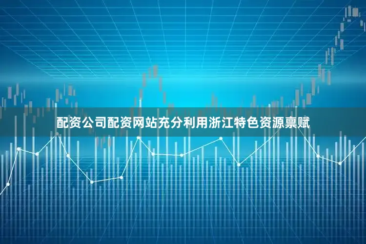 配资公司配资网站充分利用浙江特色资源禀赋