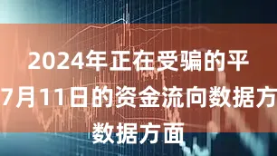 2024年正在受骗的平台7月11日的资金流向数据方面