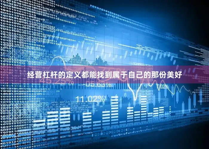 经营杠杆的定义都能找到属于自己的那份美好