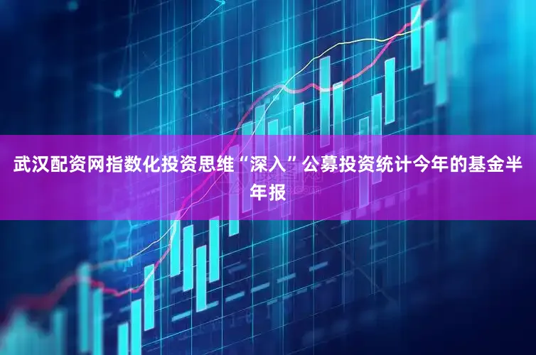 武汉配资网指数化投资思维“深入”公募投资统计今年的基金半年报