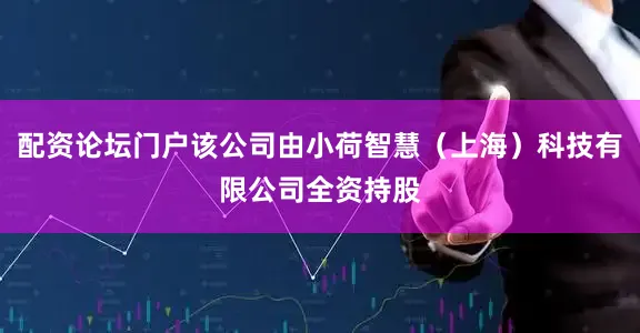 配资论坛门户该公司由小荷智慧（上海）科技有限公司全资持股