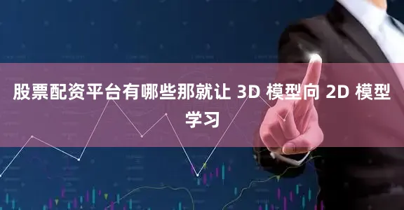 股票配资平台有哪些那就让 3D 模型向 2D 模型学习