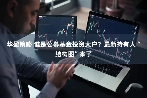 华盈策略 谁是公募基金投资大户？最新持有人“结构图”来了