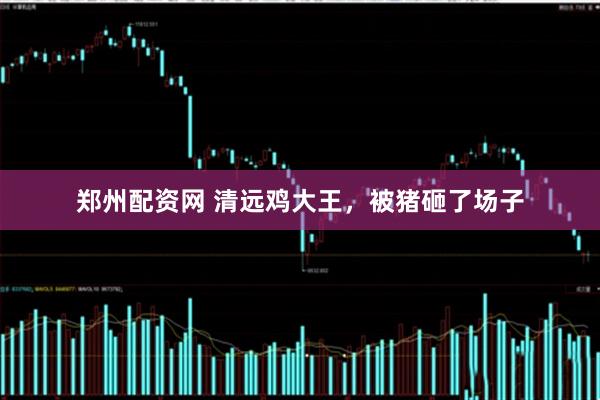 郑州配资网 清远鸡大王，被猪砸了场子
