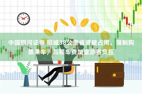 中国银河证券 稻城38公里省道被占用，强制购票乘车，高额车费加重游客负担