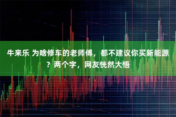 牛来乐 为啥修车的老师傅，都不建议你买新能源？两个字，网友恍然大悟